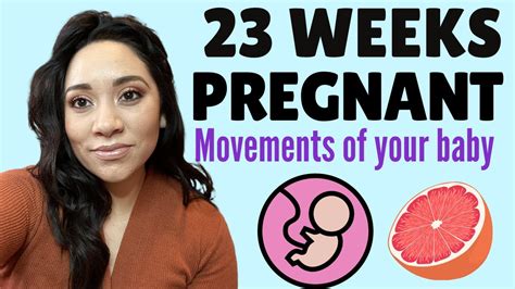 23 weeks pregnant week by week symptoms for 23 week pregnancy what to expect the second