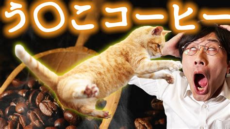 コピ・ルアクって知ってる？ 猫のうんこから作られる世界一のコーヒーをご覧あれ！ Youtube