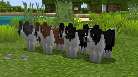 Better Dogs Resource Pack 120 119 Texture Packs