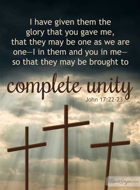 Complete Unity John 1720 23 Tricia Goyer