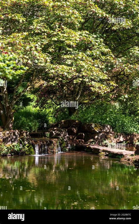 Ornamental Ponds Lydney Park Gardens Stock Photo Alamy