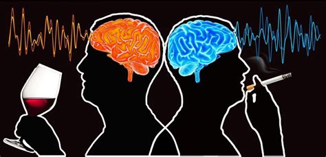Descubren Diferentes Reas Del Cerebro Que Est N Relacionadas Con El