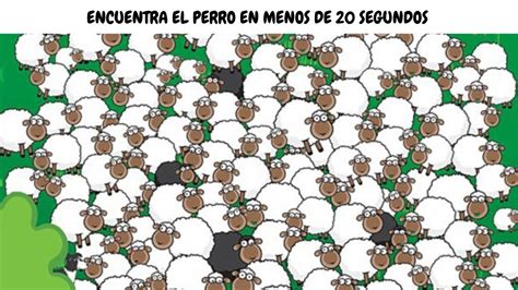 Un perro es un verdadero amigo, siempre está ahí para ti, no te juzga y siempre está feliz de tenerte a su lado. No podrás encontrar el perro en menos de 30 segundos 🐶🐶 ...