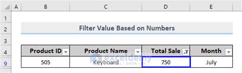 How To Perform Custom Filter In Excel Ways Exceldemy