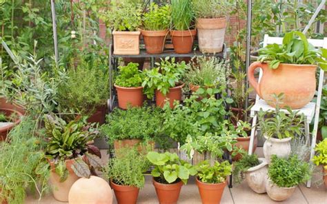 Check spelling or type a new query. 7 Apartment Herb Garden Tips | Apartment Gardening ...