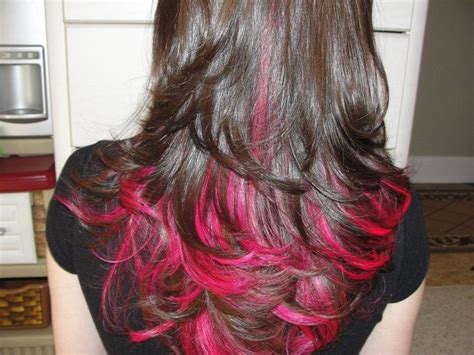 Want to dye your hair but don't want your entire head purple? 5b7c96ed55ad98da5415d4a09e1d0ae3.jpg (720×540) | Dyed hair ...