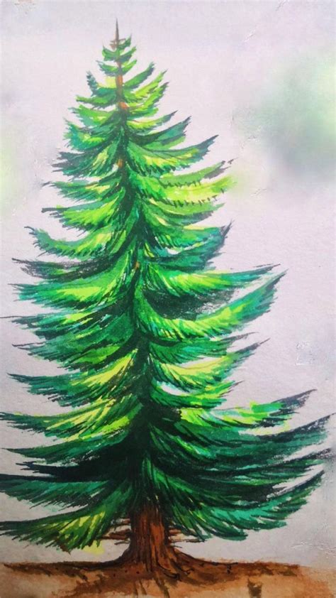 How To Draw A Pine Tree Step By Step Tutorial Easy For Begginercome To