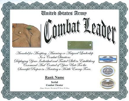 Dtms is a resource that impacts soldiers and commanders throughout the army. US Army Combat Leader Tab Display Recognition