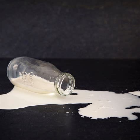 Don T Cry Over Spilled Milk Day February National Today