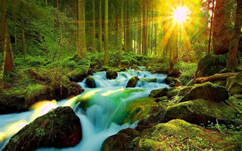 Most Beautiful Nature Wallpapers For Mobile Wallpaper Cave