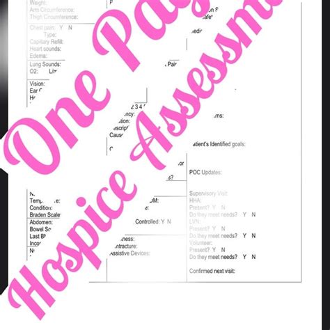 Hospice Nurse Assessment Sheet Etsy Uk