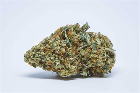 The Most Exotic Cannabis Strains out there | Hempercamp.com
