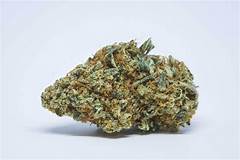 What You Didn’t Know About The Best Exotic Weed In Southern California For 2024!: The Shocking Truth Everyone Needs To Know!