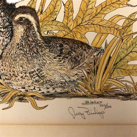 Jerry Bishop Artist Signed Pen And Ink Drawing 2 Bobwhite Quail Number