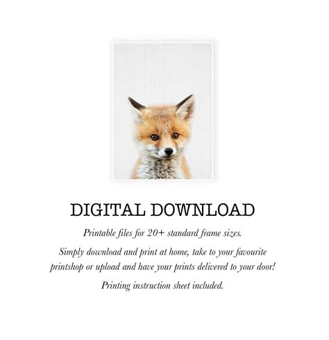 Baby Fox Print Digital Download