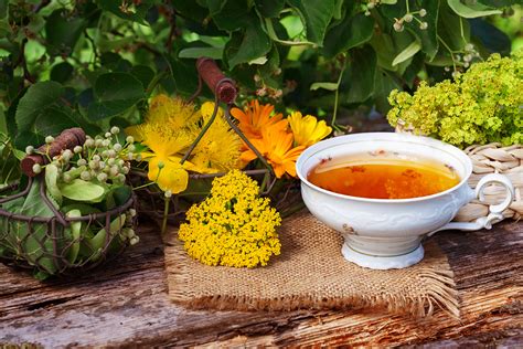 Tee Selber Machen Seelenwärmer Aus Der Natur Gartenflora