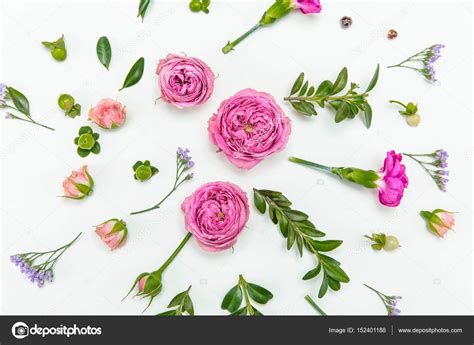 Beautiful Pink Roses — Stock Photo © Vikakhalabuzar 152401188