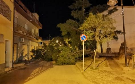 Il santo trasportato su un carro trainato dai buoi, accompagnato da un lungo corteo si accinge ad arrivare alla chiesetta campestre nella zona di orrì. Tortolì, violente raffiche sradicano albero | Ogliastra ...