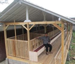 Namun sebaiknya lahan tempat kandang. CARA BETERNAK KAMBING ETAWA PALING GAMPANG - BETERNAK DAN ...