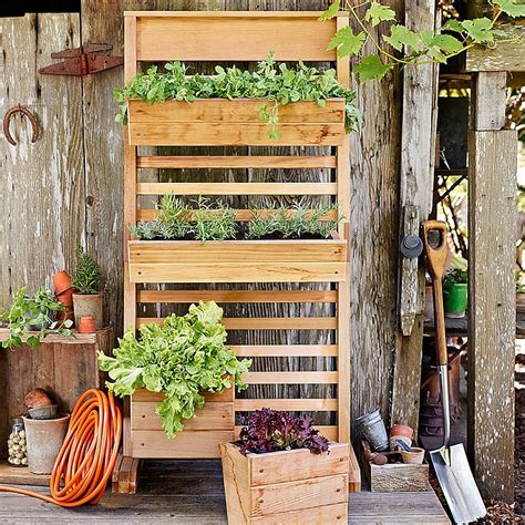 Vertical Goodness 10 Diy Living Walls Kits For Green Living