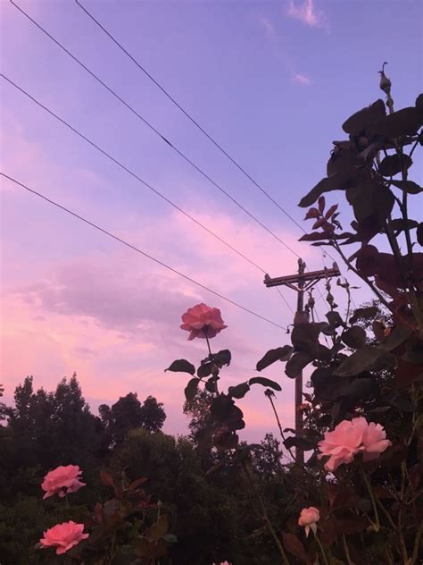 See more ideas about pink, pink wallpaper, pink aesthetic. laptop backgrounds tumblr - Google Search | Sky aesthetic ...