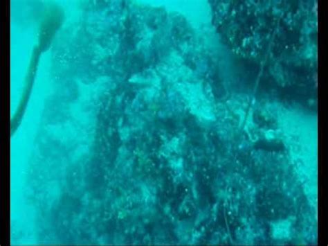And it's actually more than that… Giant squid egg in Adriatic.avi - YouTube