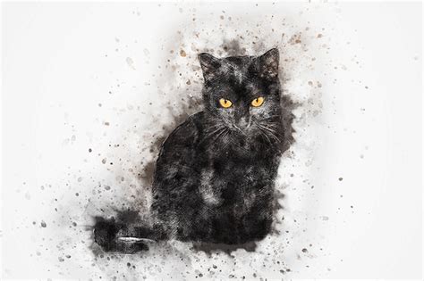 You may have seen me dancing and dealing with mark cuban on shark tank for my company i want to draw a cat for you! i'm drawing cats exclusively your pep talk was very motivating and an added bonus to the cat drawing. 40 Shark Tank Ideas That Failed Miserably