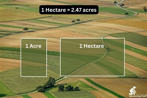How Big Is A Hectare Visually Measuring Stuff