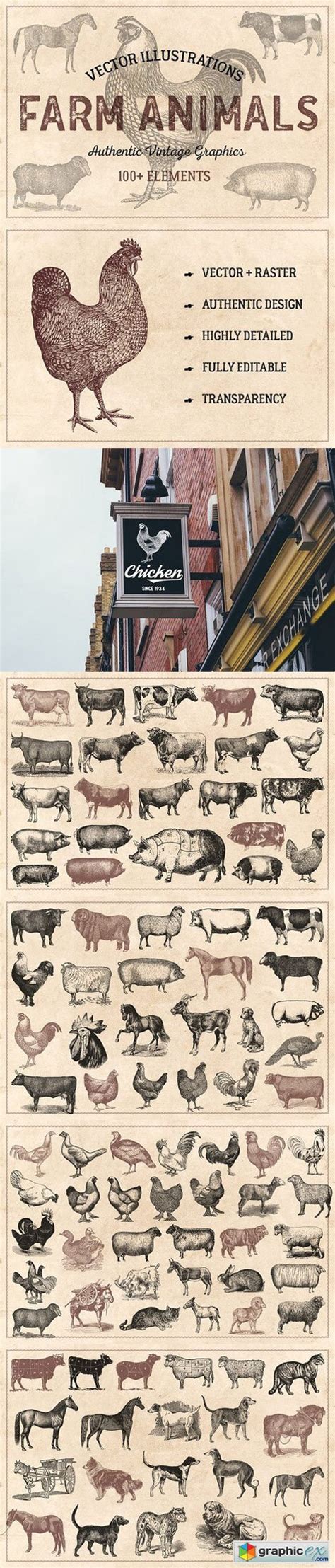 100 Vintage Farm Animals Vector Free Download Vector Stock Image