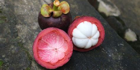 49 pasar jumat, jaksel 12440 Cair Obat Tradisional Kulit Buah Manggis - Pin Di ...