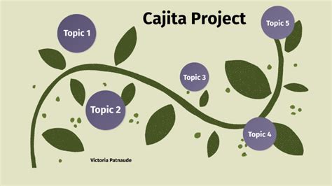 Cajita Project By Victoria Patnaude On Prezi
