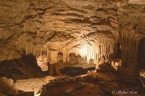 Cumberland Caverns Tn Sylvies Adventures