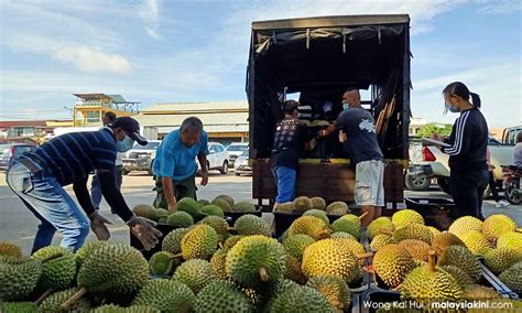 .meneruskan usaha bagi meningkatkan mutu bola sepak negara menerusi penganjuran liga bola sepak. 'Usaha kerajaan baik, namun ambil kira nasib pekebun durian'