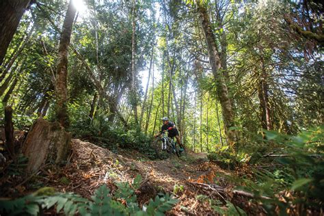 Newell Creek Canyon Nature Park Celebration Metro