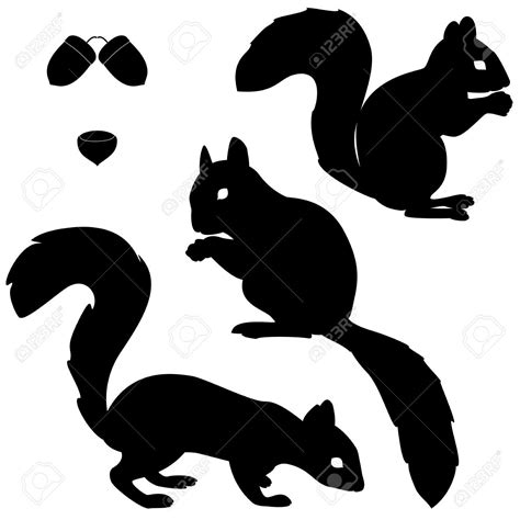 Set Of Squirrels Silhouettes Isolated On White Background Royalty Free