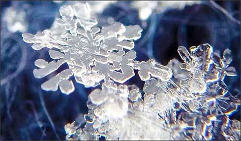 How To Photograph Snowflakes Light Up My Photos