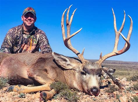 Mule Deer Hunting New Mexico Bmo Hunts