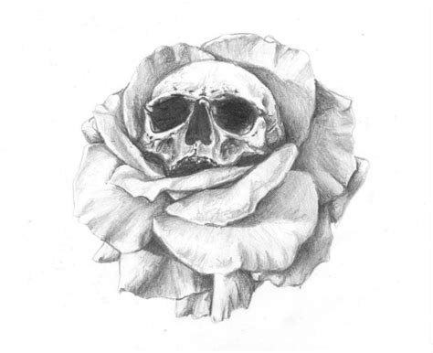 Tête de mort avec rose tatouage. Pin on Arts graphiques