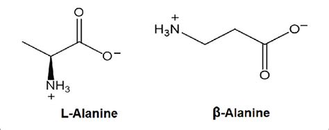 The Chemical Structures Of L Alanine And β Alanine Download