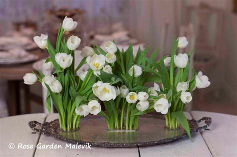 En kund till mig köpte svenska spikmatta efter ha provat min. Tulpaner på spikmatta ~ Tulips and Ikebana - Blommor Och ...