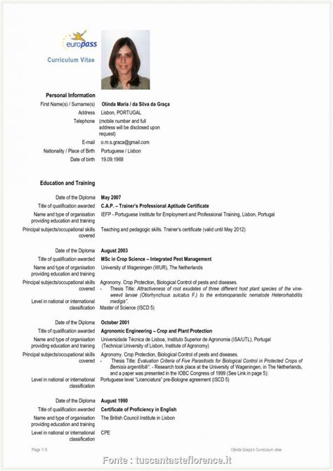 Da un clic sobre cada casilla de información, por ejemplo, da un clic sobre la palabra nombre. Curriculum Vitae Modello Curriculum In Inglese | Cv ...
