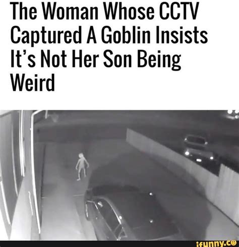 The Woman Whose Cctv Captured A Goblin Insists Its Not Her Son Being Weird