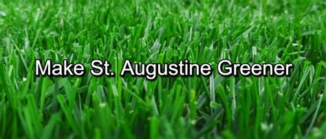 Maybe you would like to learn more about one of these? How To Make St Augustine Grass Greener - 3 Things You Must Try