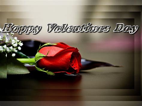 Sweetheart, had fate not brought you into my life, my happy valentine's day. Happy Valentines Day Pictures, Photos, and Images for ...