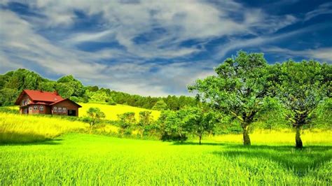 Green Landscape Wallpapers Top Free Green Landscape Backgrounds