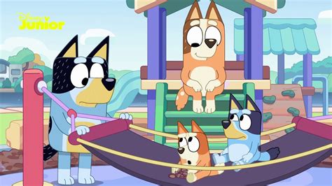 Bluey And Bingos Pirate Adventure ☠️ Bluey 💙 Disney Junior Arabia