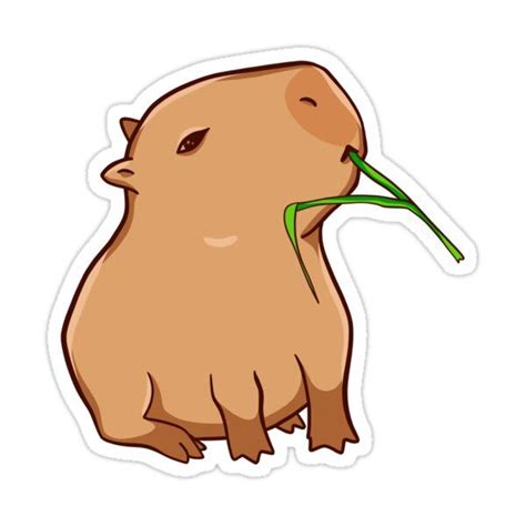 Capybara With A Leaf Eat Your Greens Sticker For Sale By