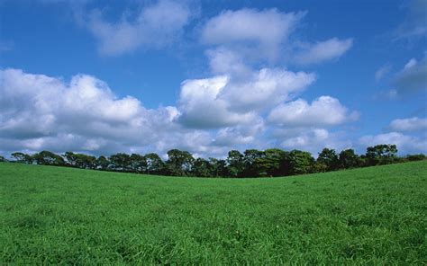 46+ Country Landscape Wallpaper on WallpaperSafari
