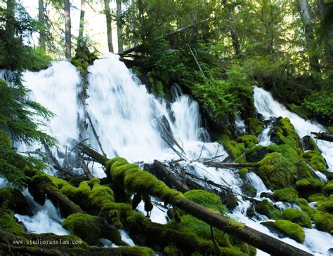 Clearwater Falls Umpqua National Forest Oregon Waterfalls Klamath