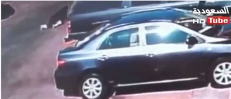 بالفيديو سرقة حقيبة سيدة في وضح النهار بـ “الخبر” صحيفة المواطن الإلكترونية